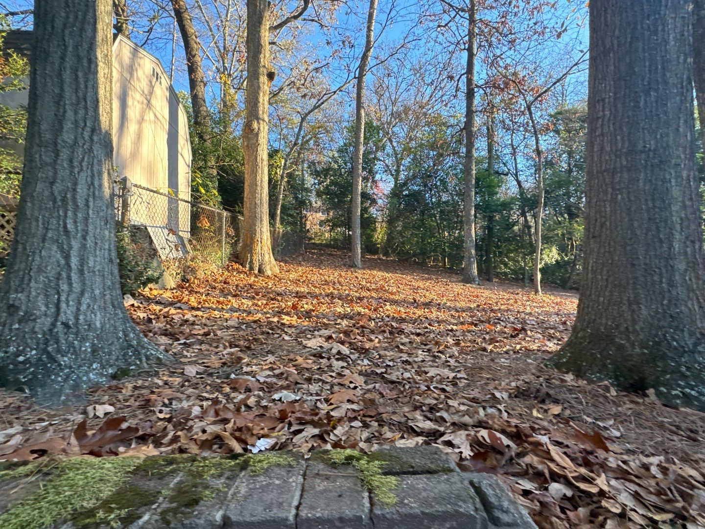 Crestline - Board on Board Fence by Pillar and Pine