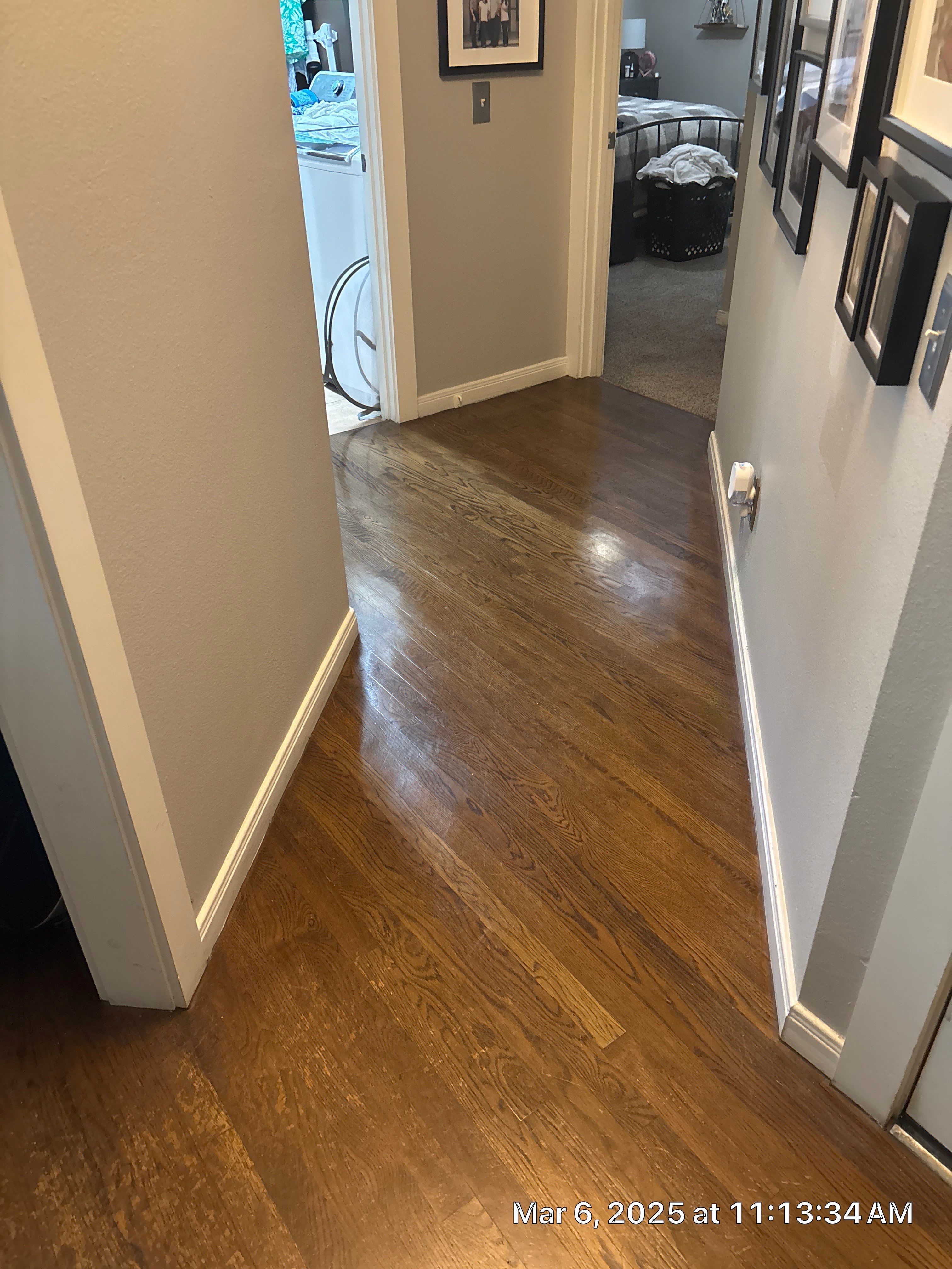Bernard Hardwood Floors featured photo.