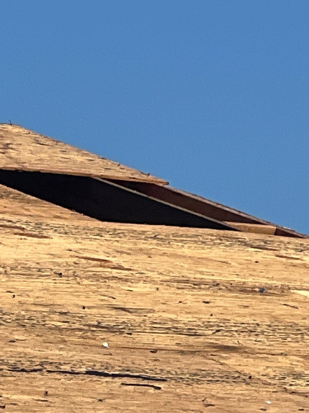 Owens Corning Designer Series (Summer Harvest) by RoofGuru AI LLC