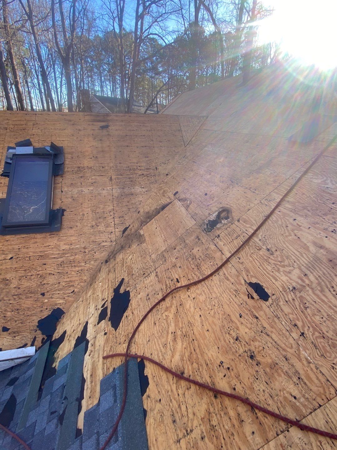 Project in Raleigh - Certainteed Landmark Pro Pewter  by Pro Performance Roofing