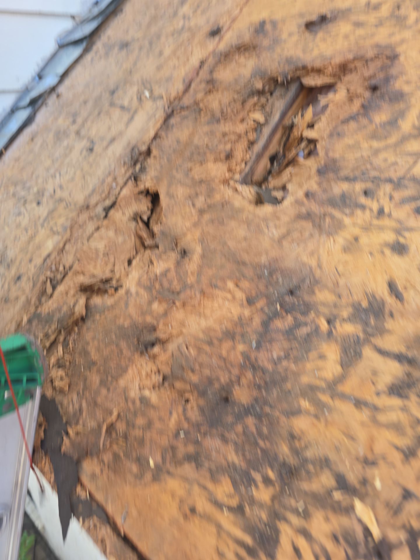 Roof Replacement Spring by Roof Repair Company
