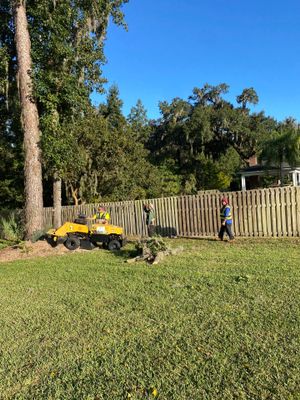 Deerwood Resident | Tree Removal & Stump Grinding