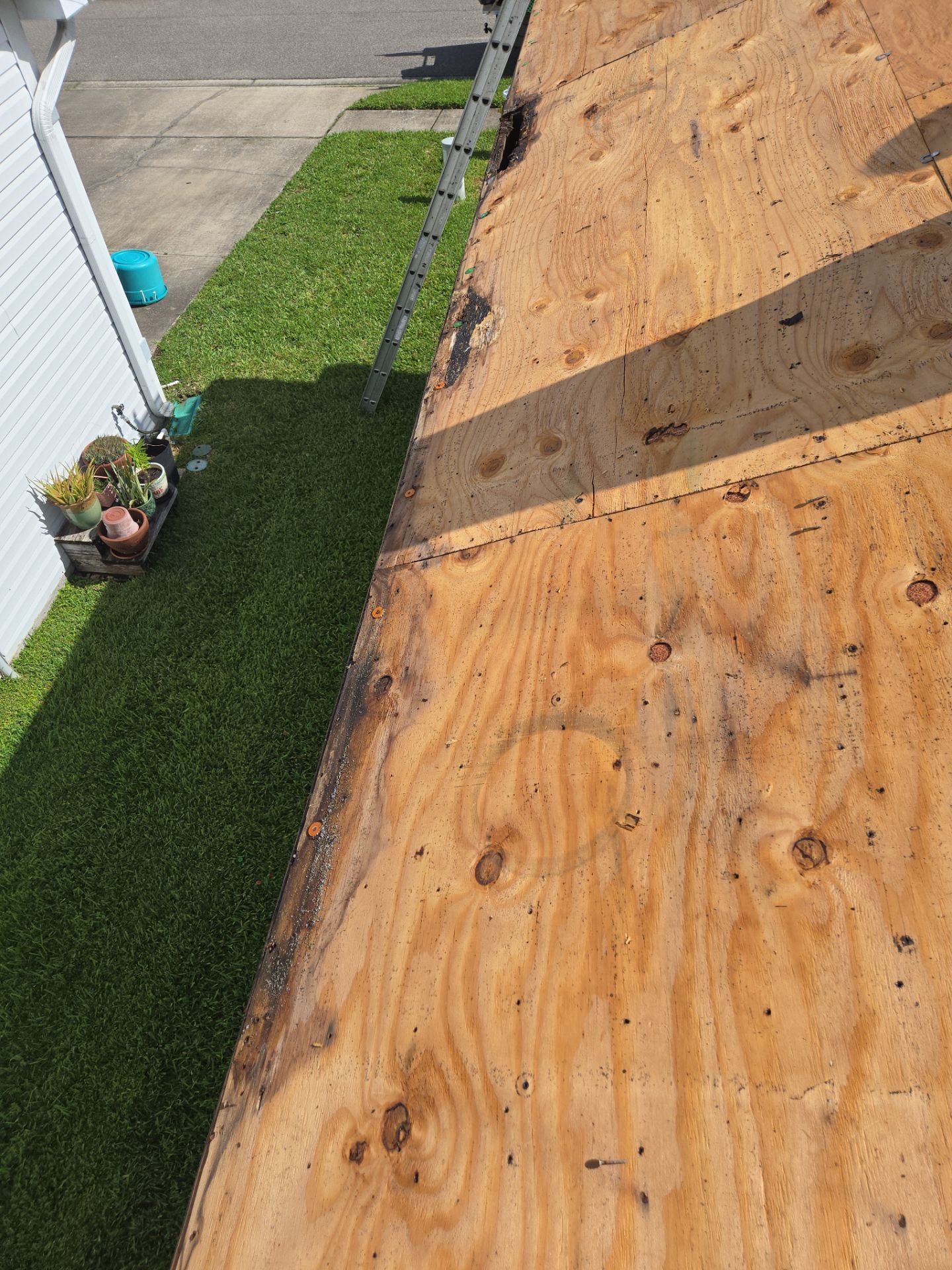 Project in Oldsmar 34677 by Mitchell Roofing Company LLC 