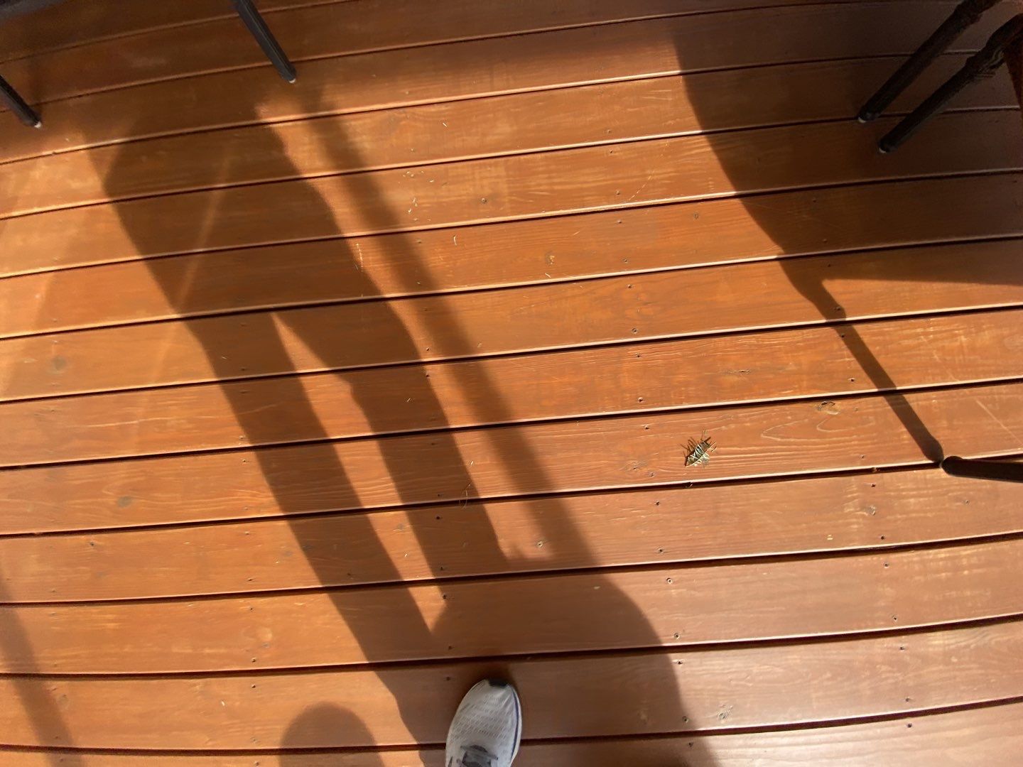 Coated Deck using Wood Sealant by DuraSeal