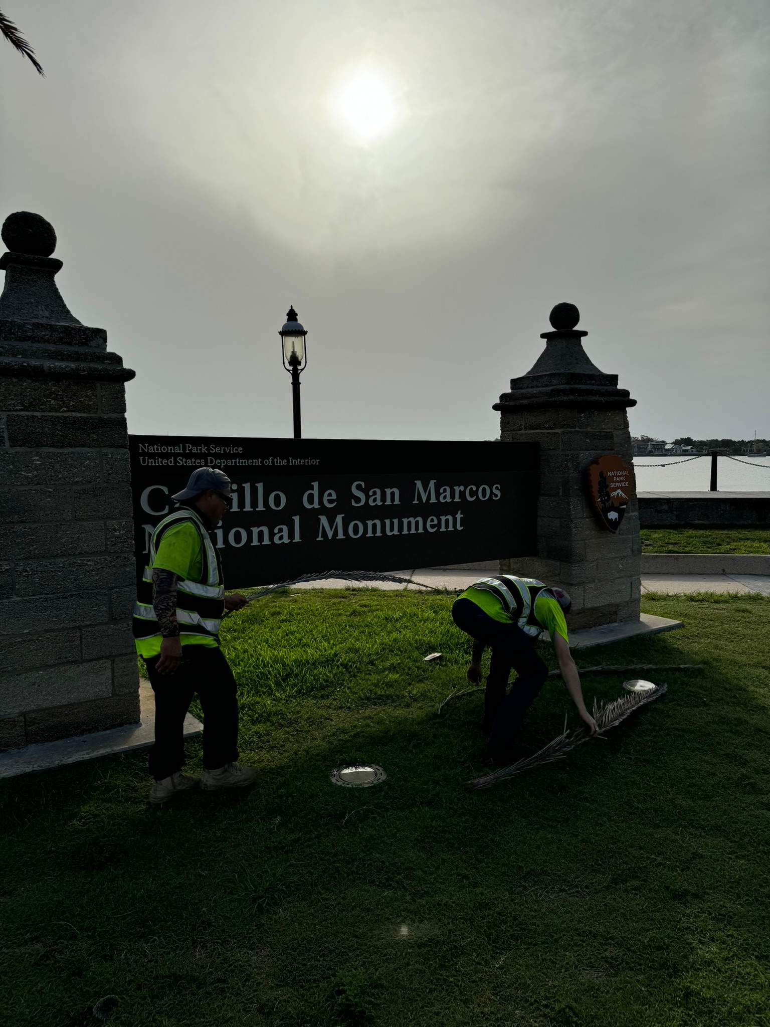 Tree Work | Castillo de San Marcos National Monument 2 by ProGreen Services