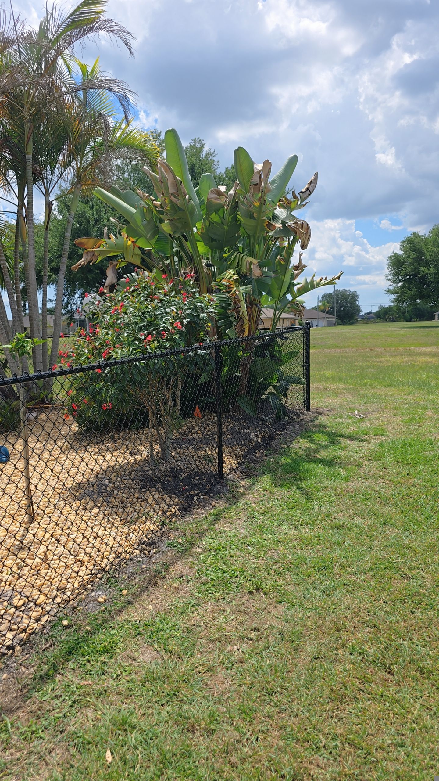 Chain Link Fence in Punta Gorda by True Fence LLC