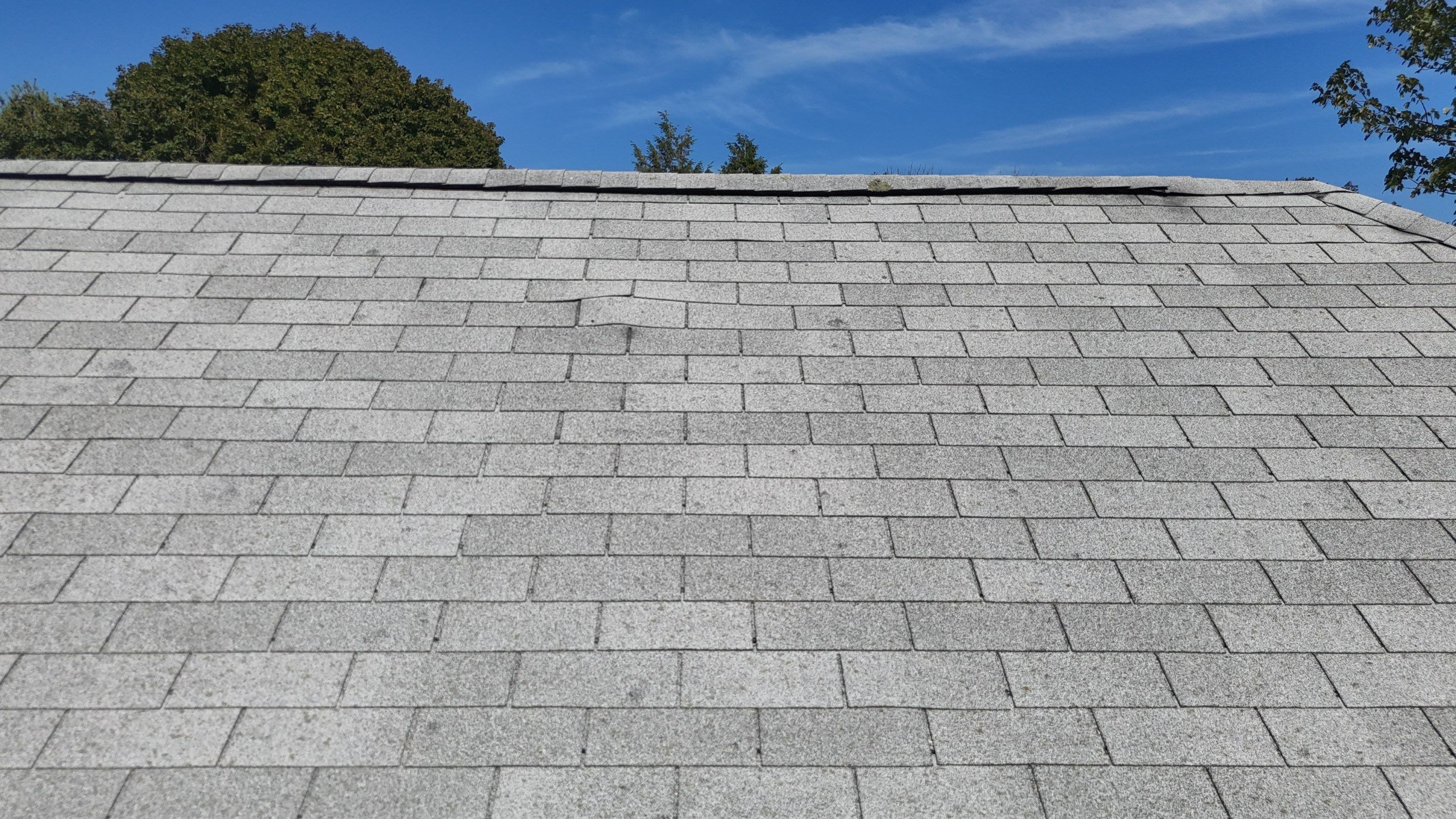 Roof & Gutter Replacement – Belmont, MA by Mighty Dog Roofing of Greater Middlesex County