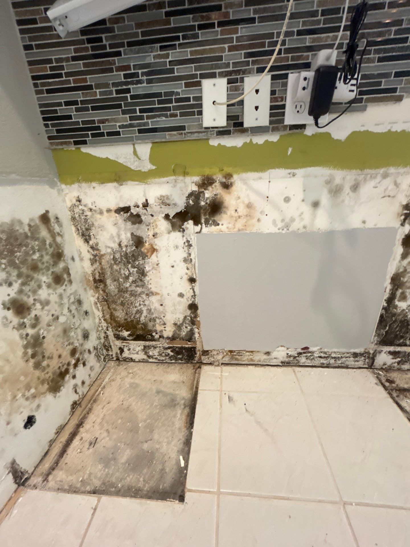 Mold Remediation by Ampm Restoration Services