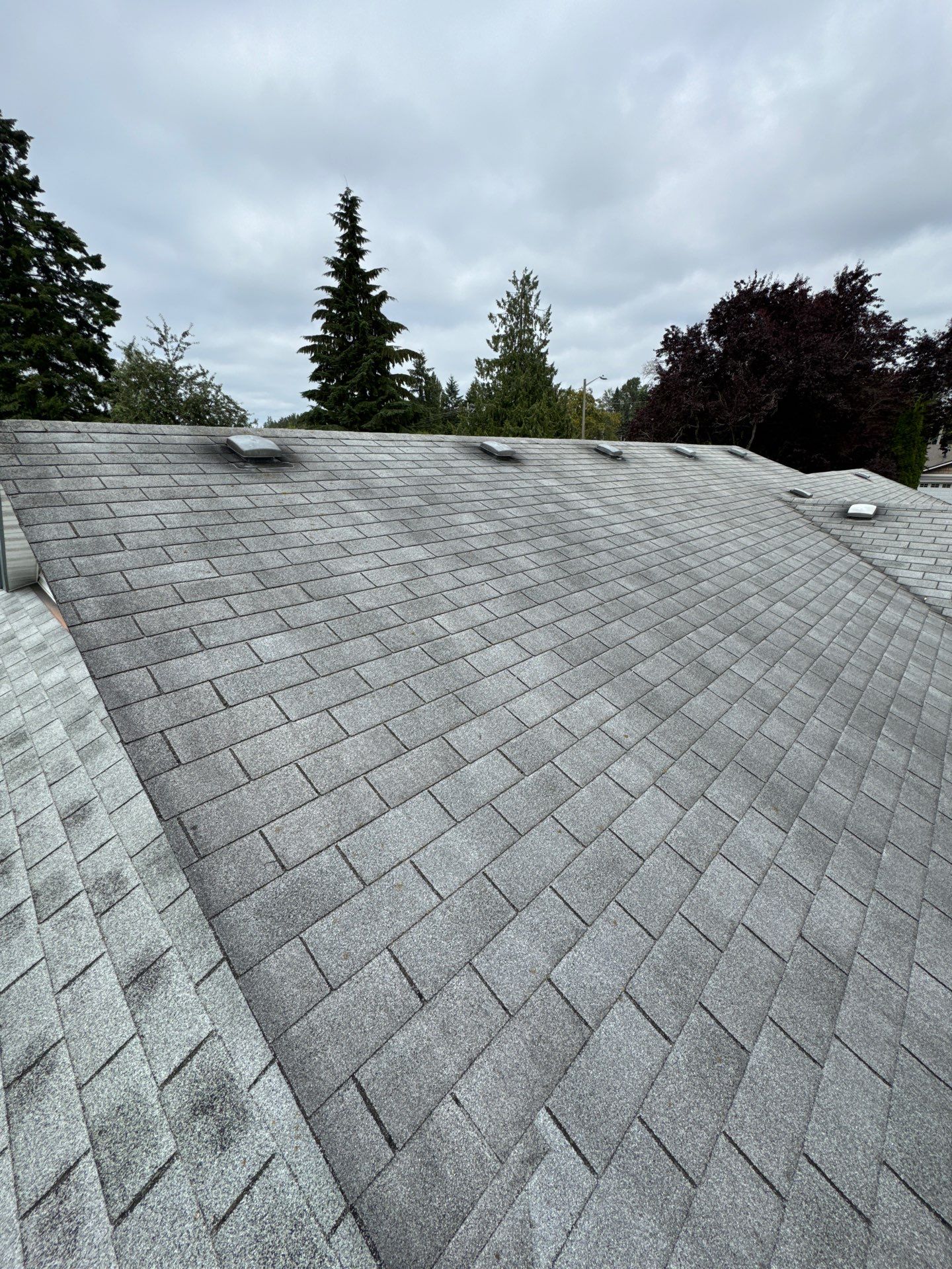 Project in Marysville by Peaks and Valleys Construction