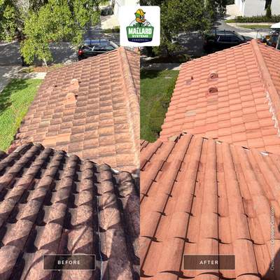 Tile Roof Cleaning in Celebration