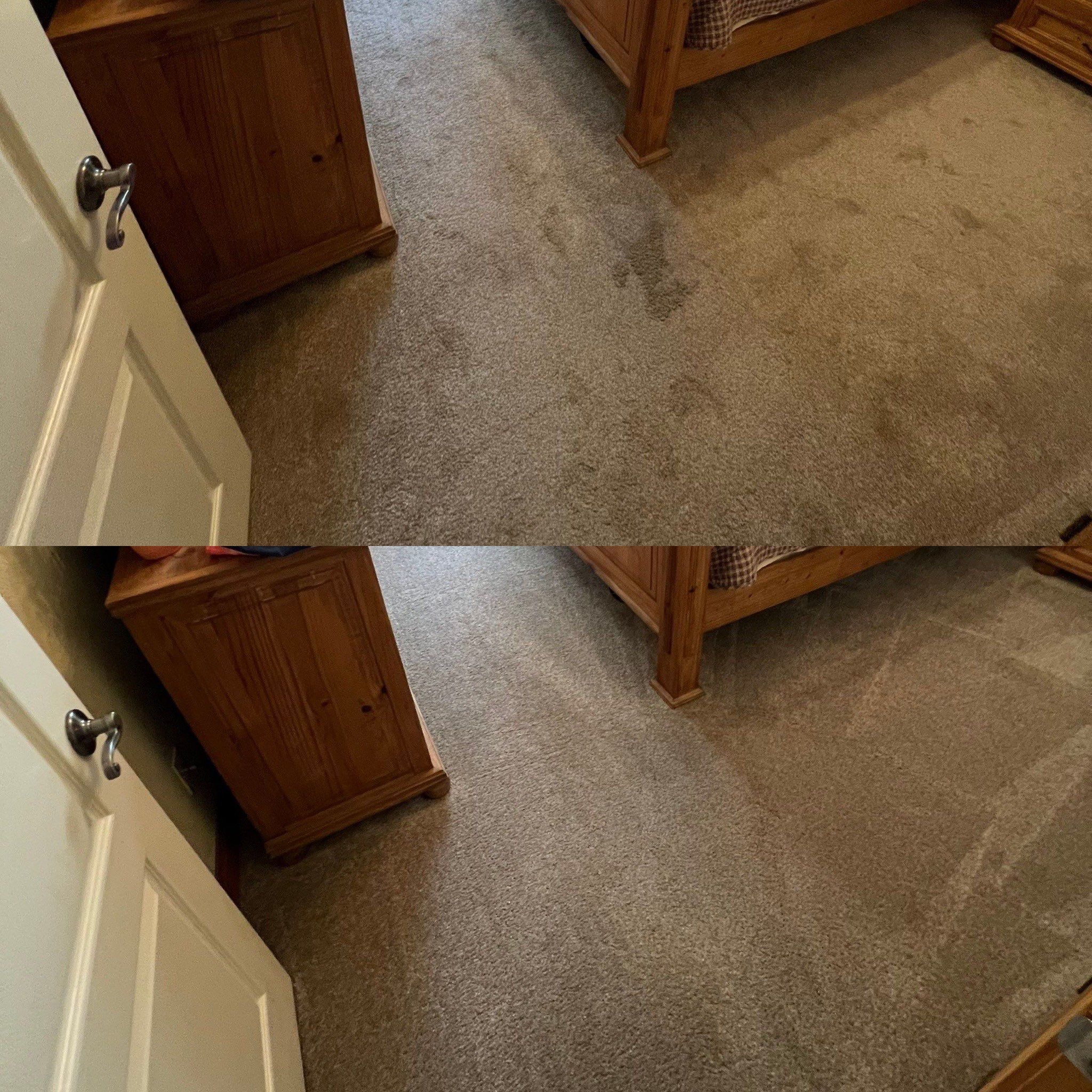 the service being done is deep carpet cleaning removing stains and dirt from the carpet in a bedroom setting