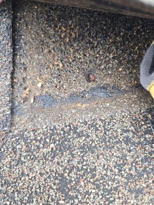 Roof repair in Parma, Ohio