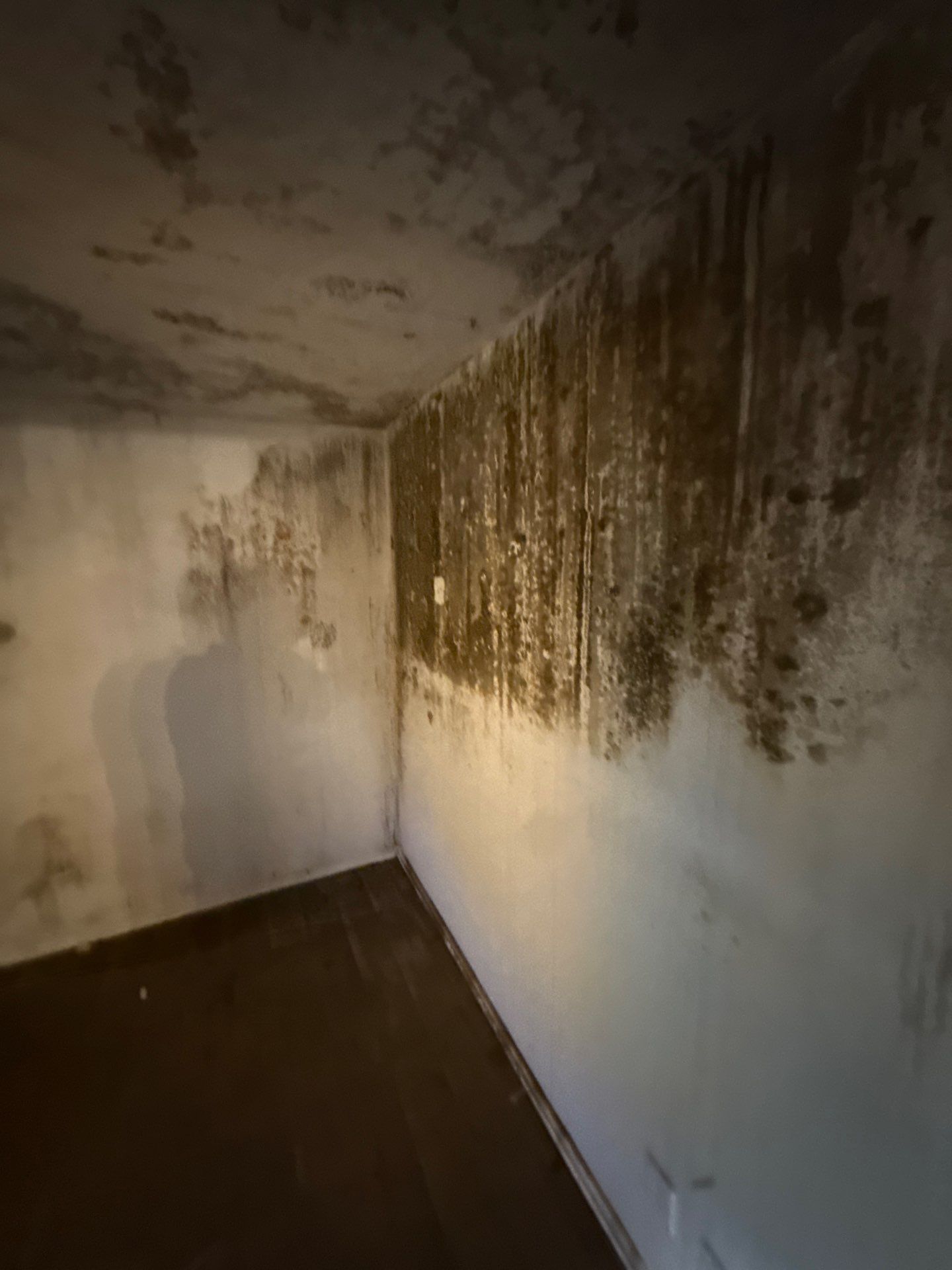 The Slate by Disaster Recovery Consultants