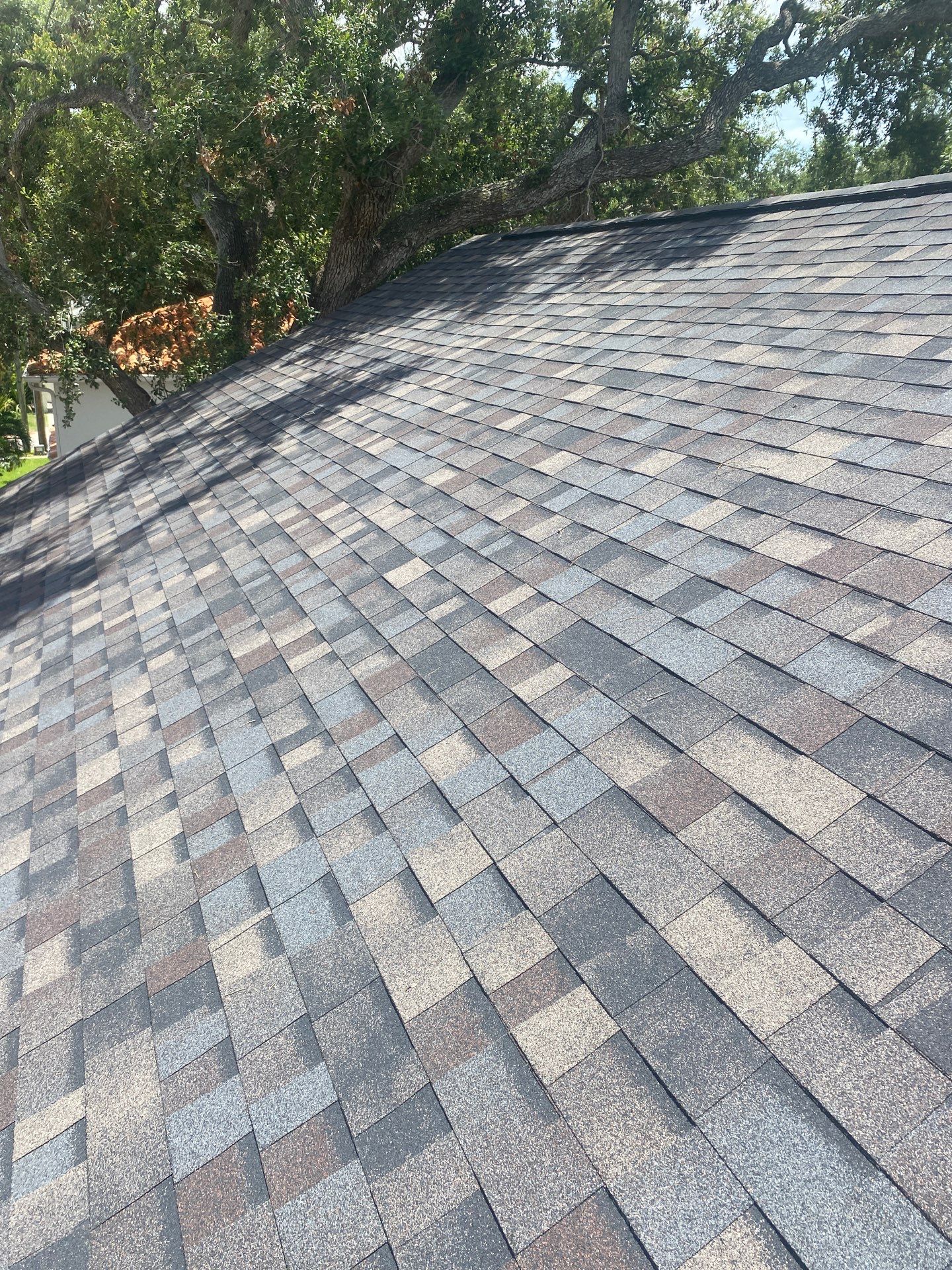 Gutter Cleaning Service in Tampa FL by Gutter Professors