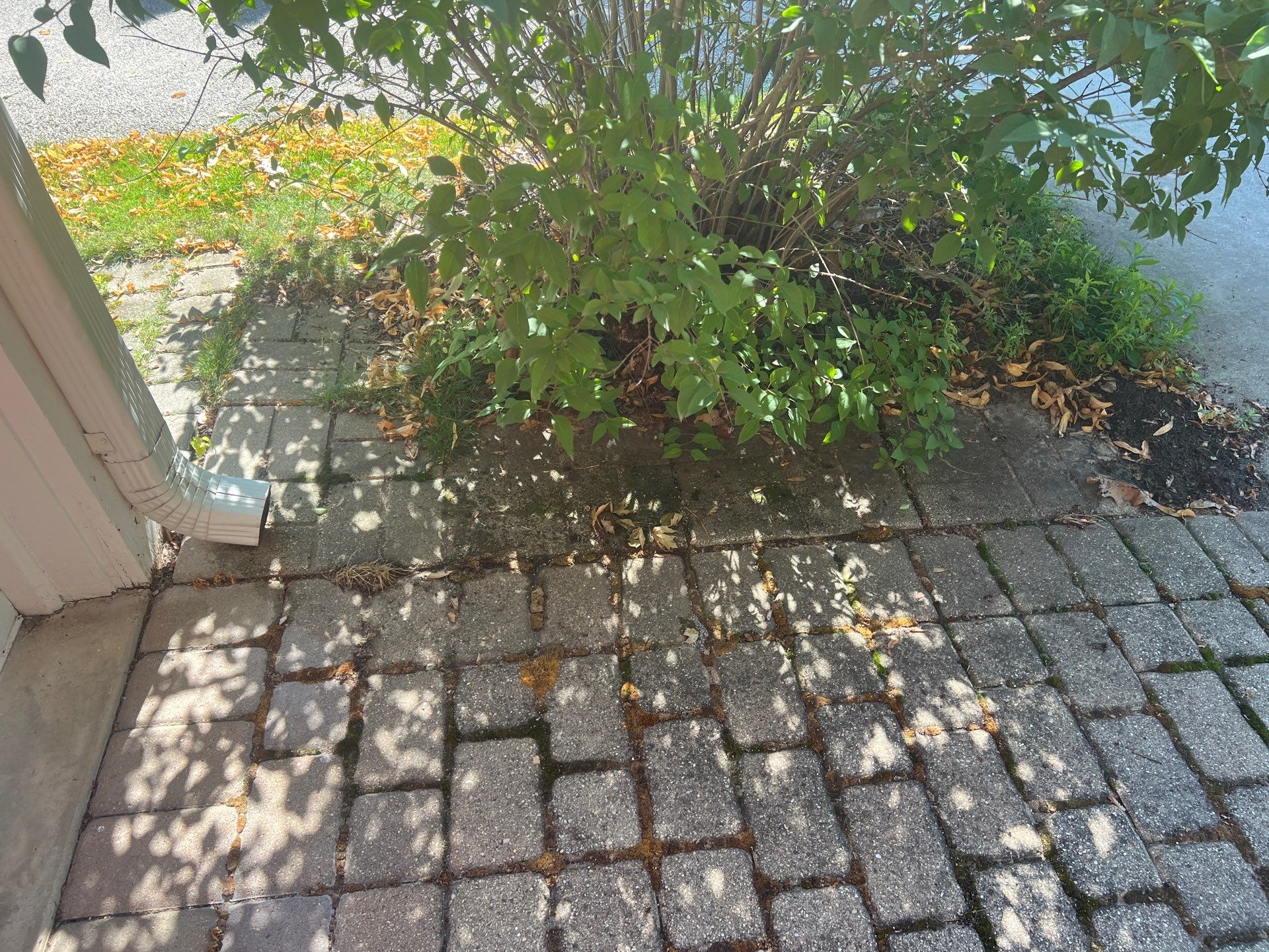 Brick paver cleaning and sealing by Northern Power Washing LLC.