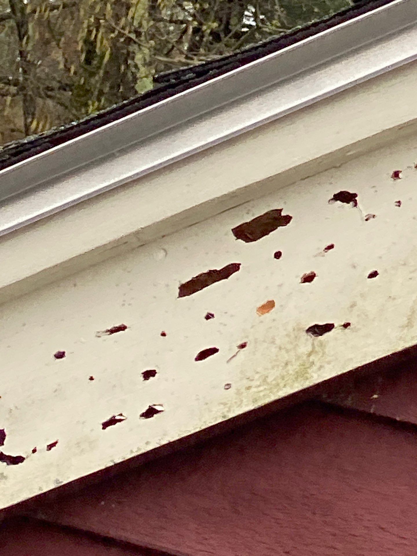 Roofing & Siding | Acton by Mighty Dog Roofing of Greater Middlesex County