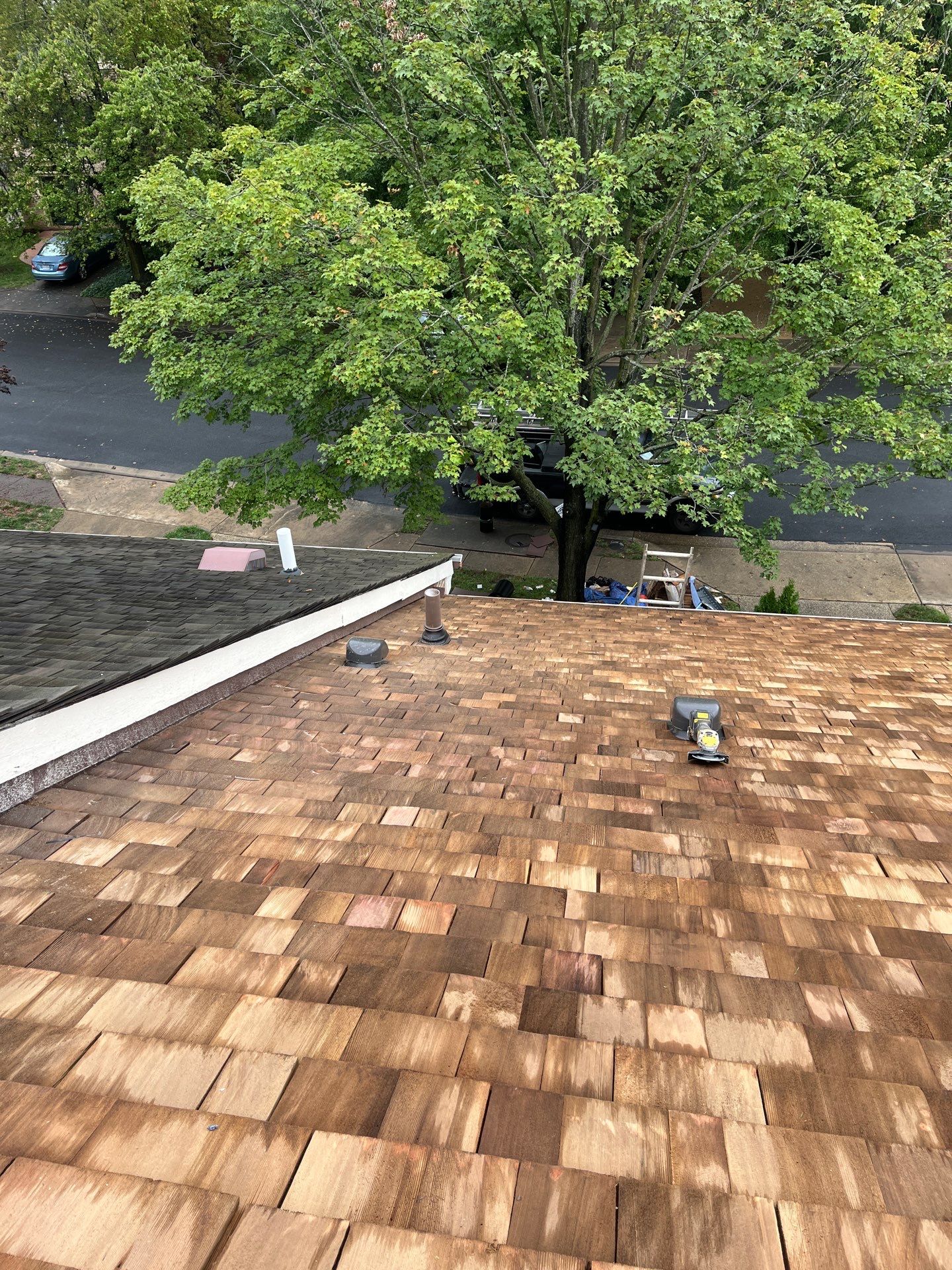 Arlington: Residential Roof Replacement with Perfection CCA-Treated Cedar Shakes by RM Banning, Inc.