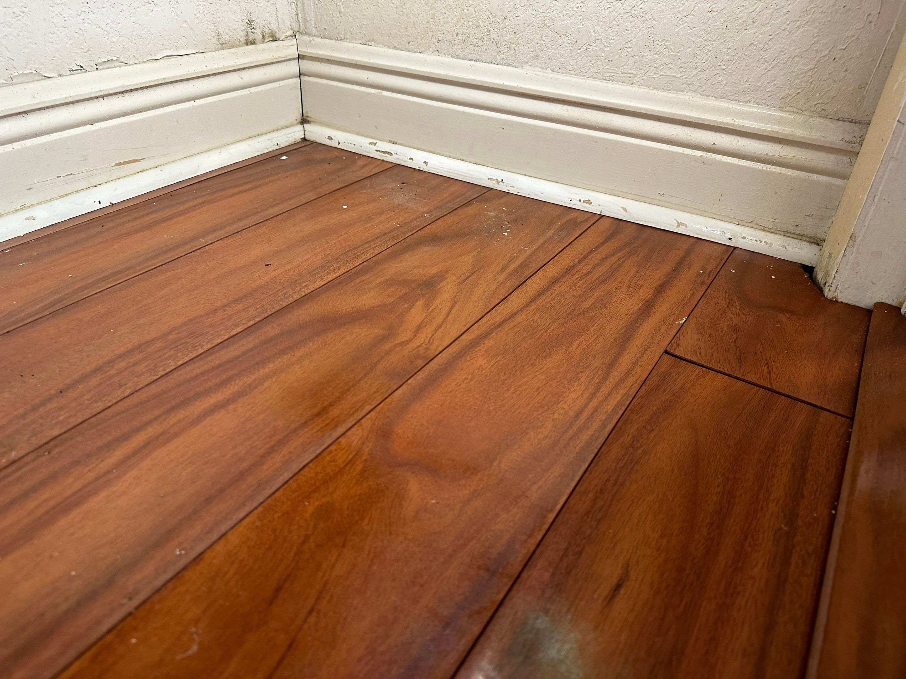 Water Damage Claim in Hollywood by FLAPA & KeyStone