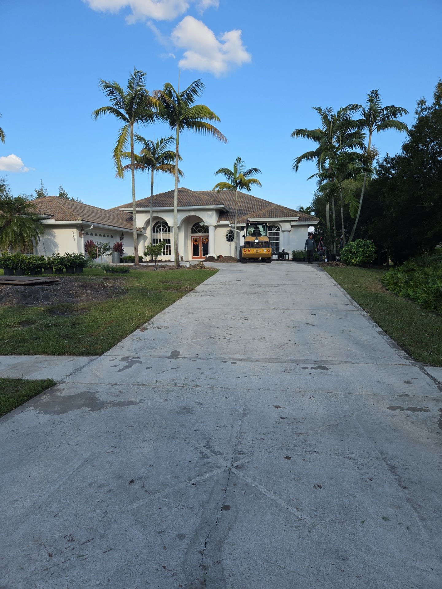🌴 Landscape Removal and Install in Palm City by Alpha Zeta Enterprises Inc