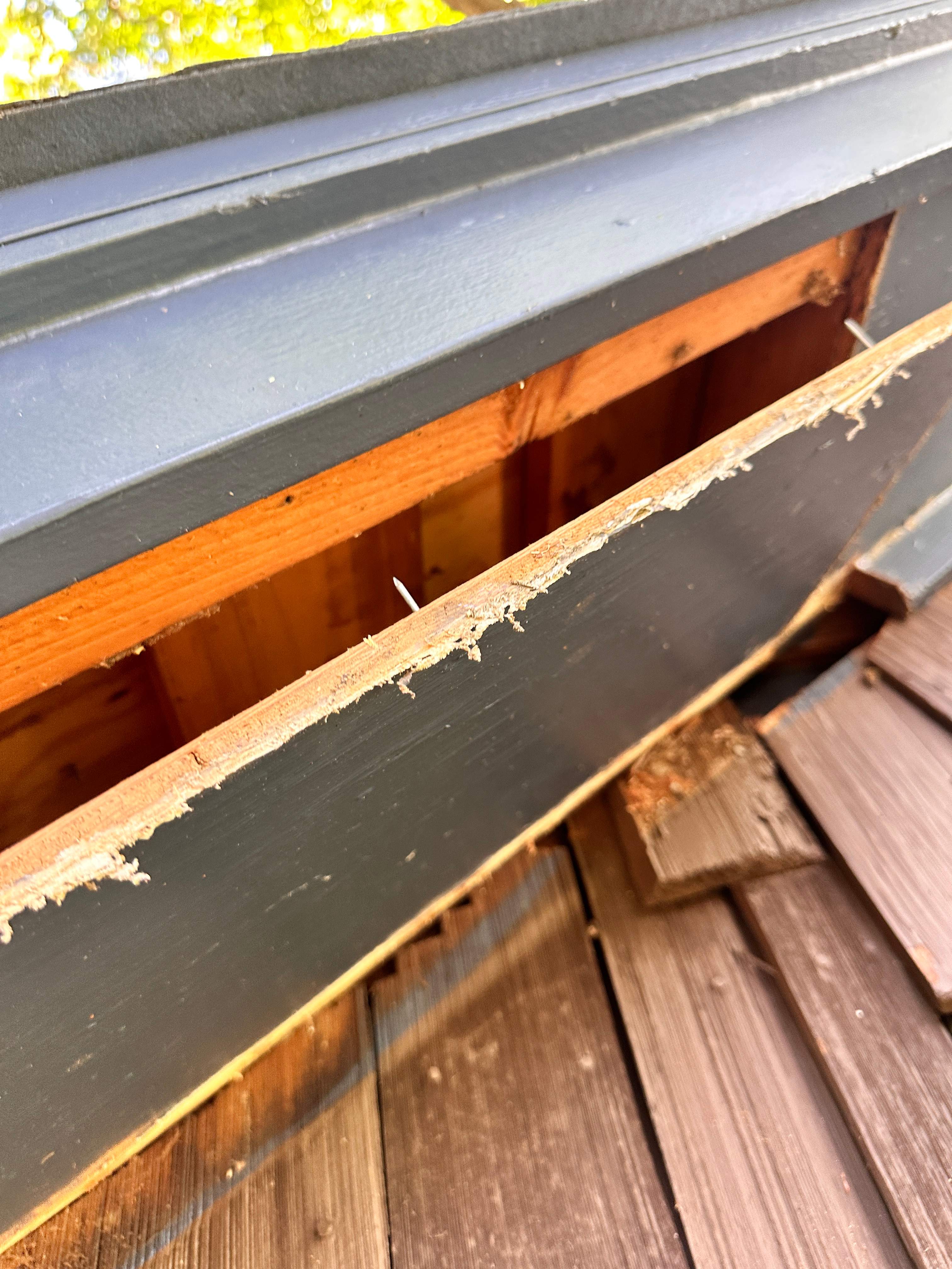 Sneaky! by Rockwall Honey Bee Company