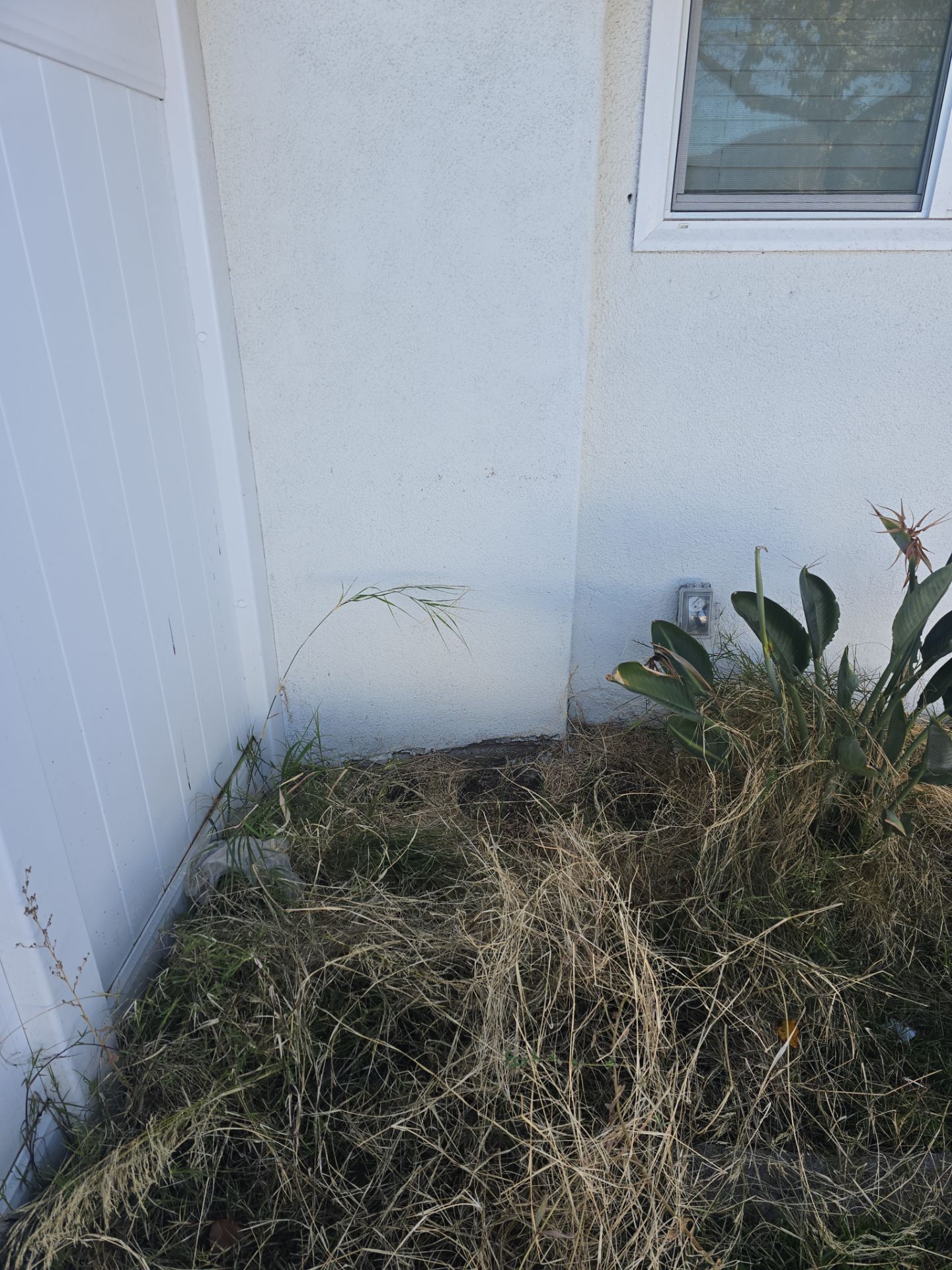 Installing Water Treatment by Us Plumbing