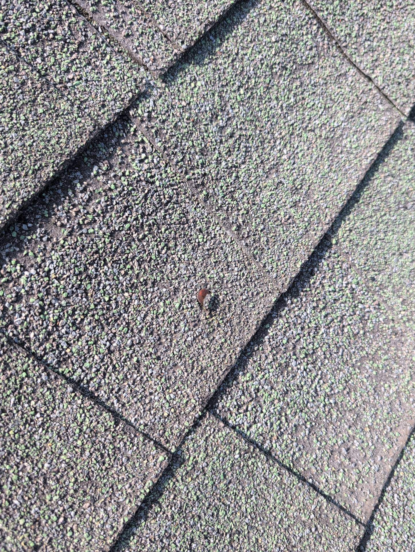 Roof Replacement & Seamless Gutters in Cape Fair by Table Rock Design + Build