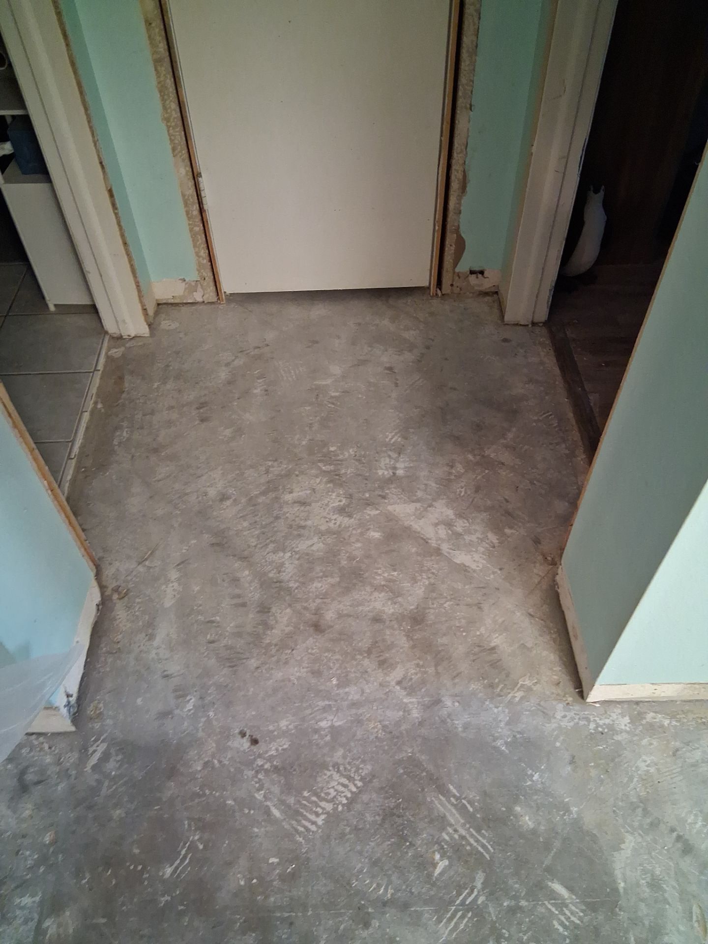Project in Palm Harbor, FL by Proline 