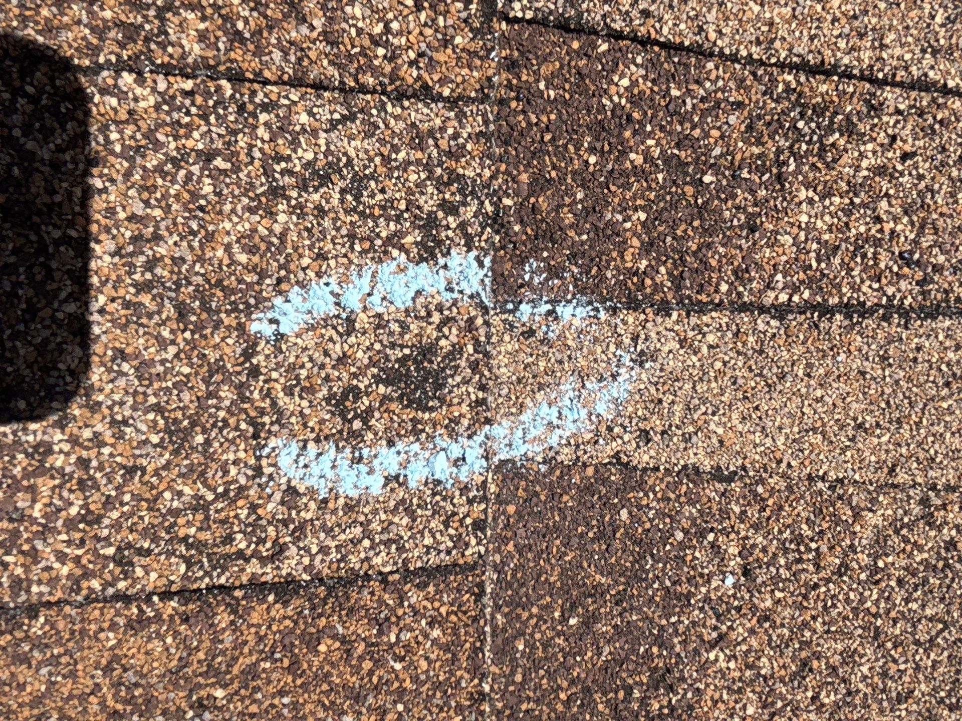 Nicole S by Boss Hogg Roofing