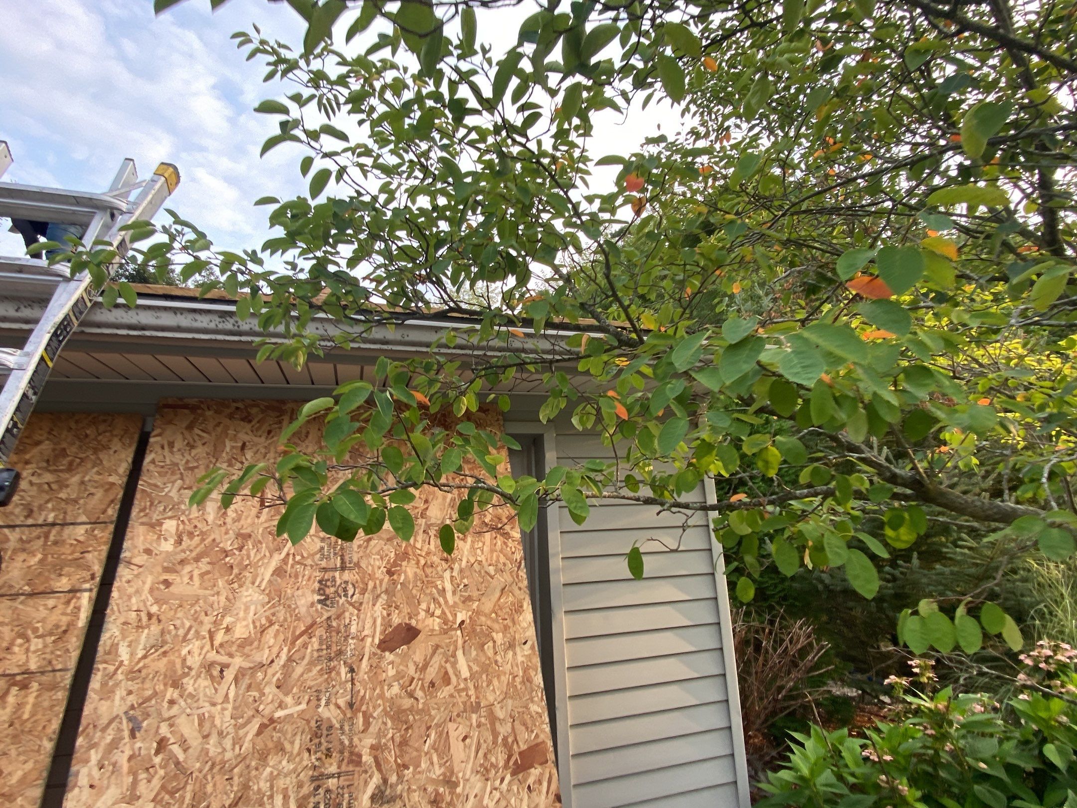 Roof Replacement using CertainTeed Landmark by 180 Contractors