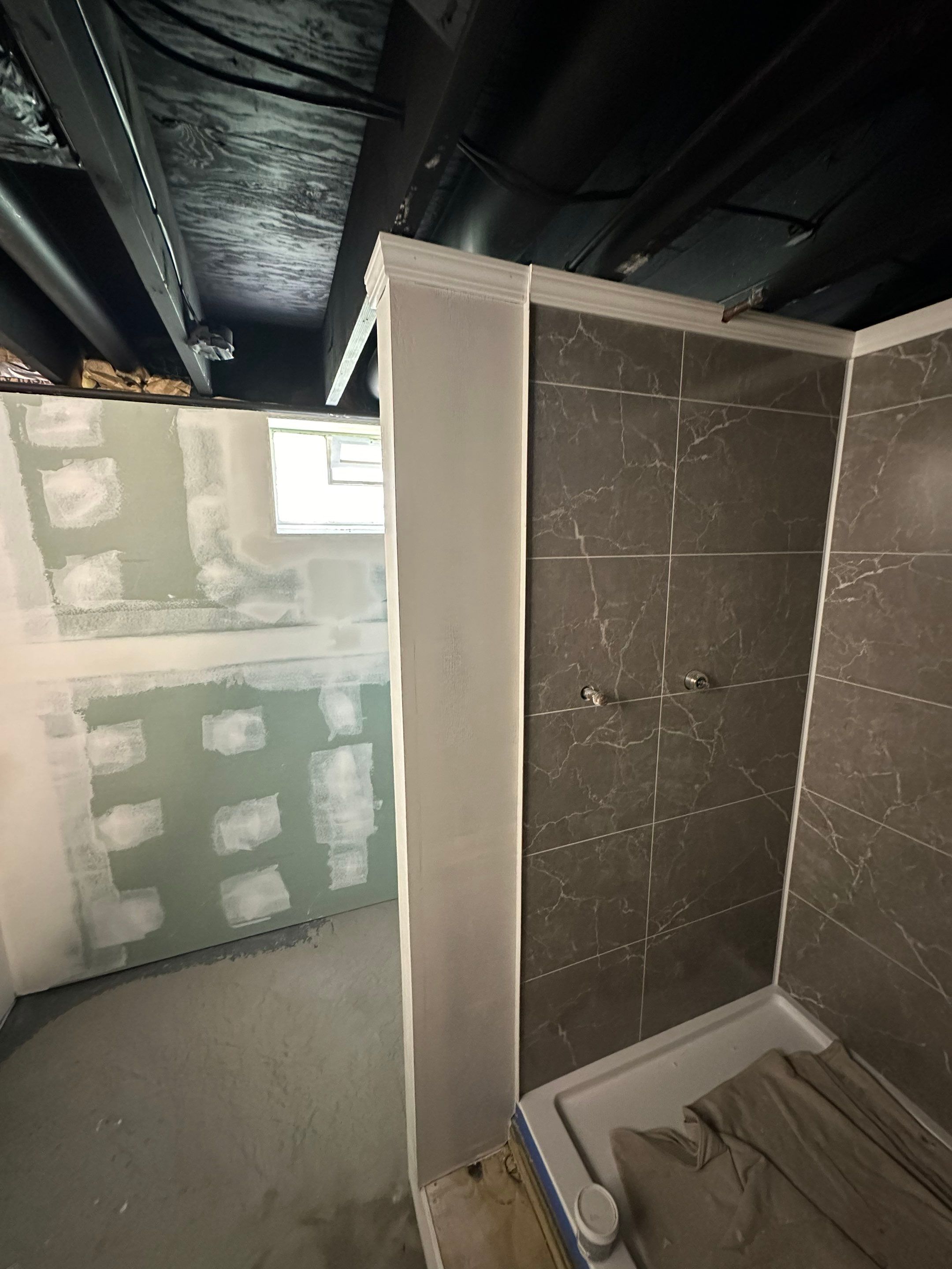 Basement Bathroom Remodel by Ivy Lea Construction