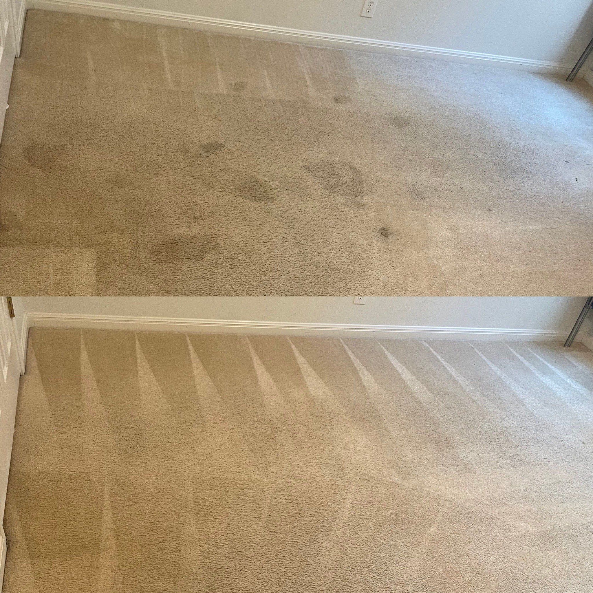 carpet cleaning service removing stains and dirt showing before and after results with noticeable improvement