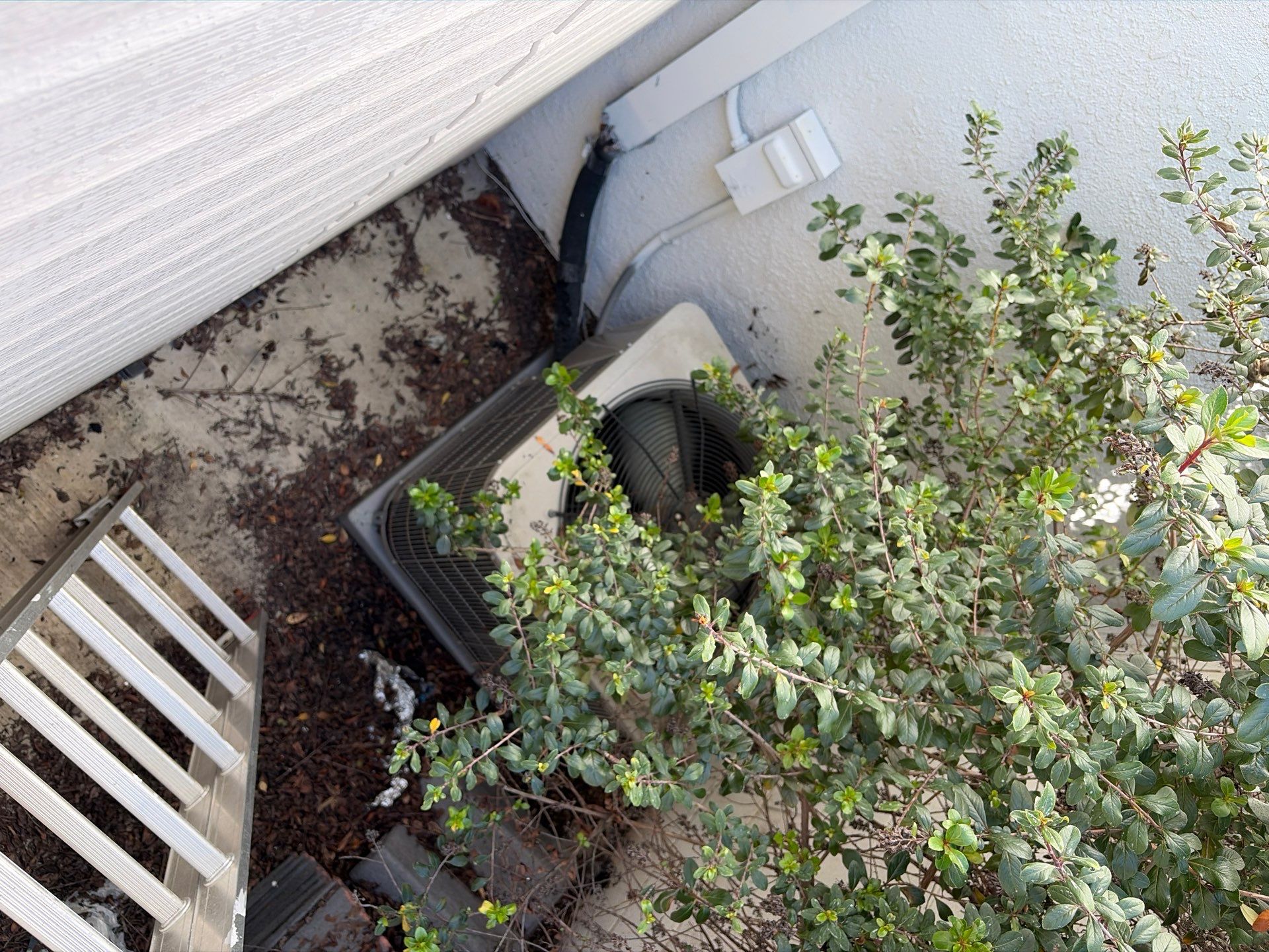 HVAC Inspection by Big Wave Heating & Air Conditioning 