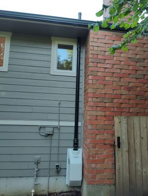 Project in Albany