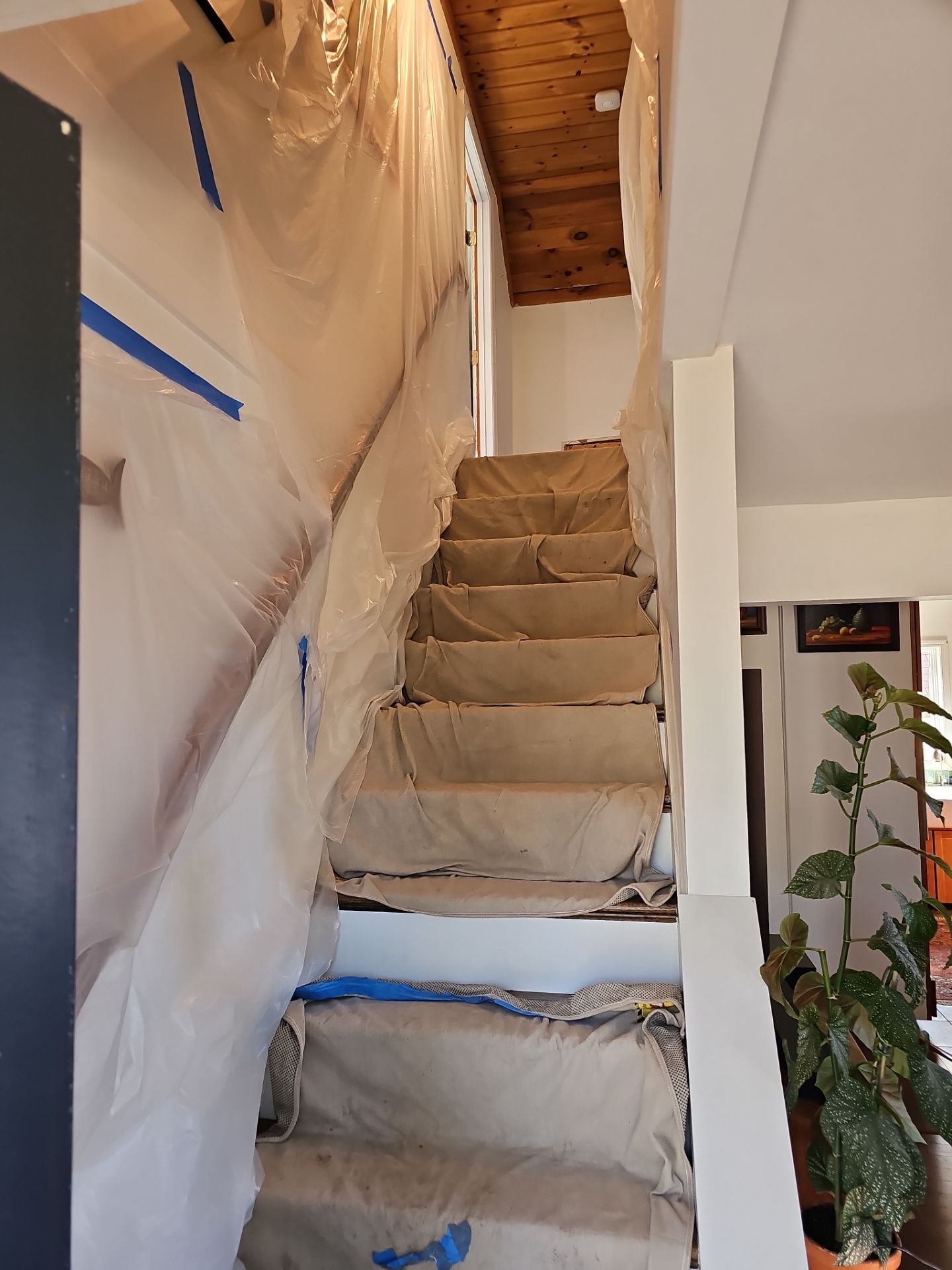 Attic Insulation using open cell spray foam by NYS Foam & Energy