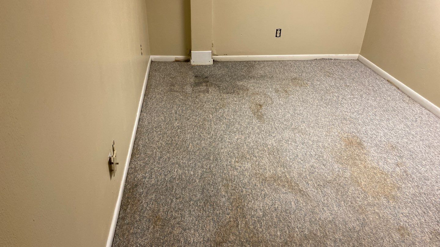 Water Damage  by Accountable Home Services