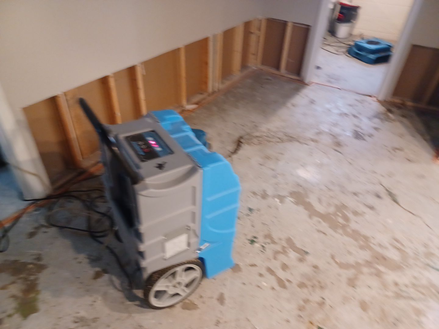 Project in Royal Oak by EzDry Water Mitigation & Property Restoration