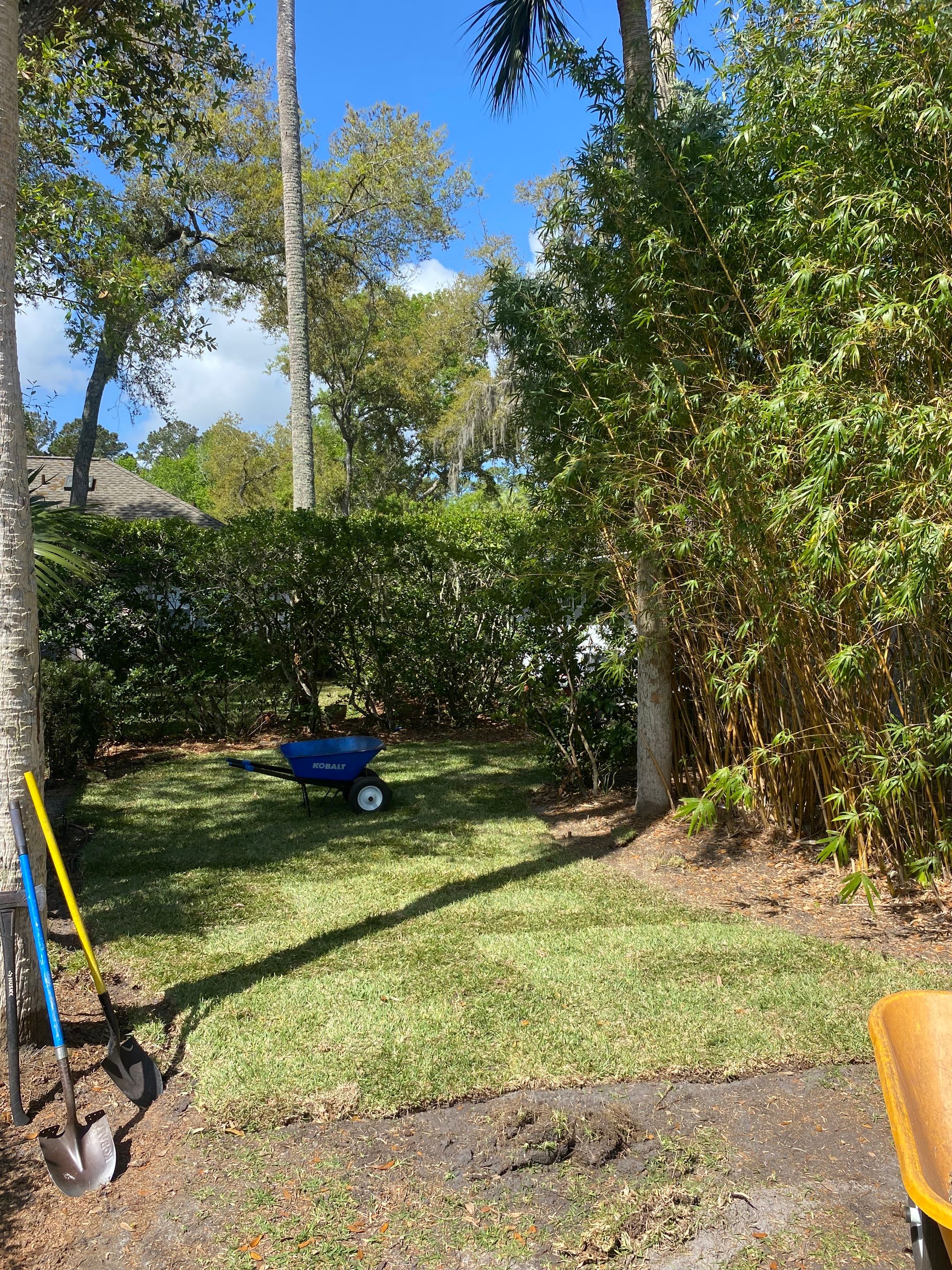 Residential | Sod Installation by ProGreen Services