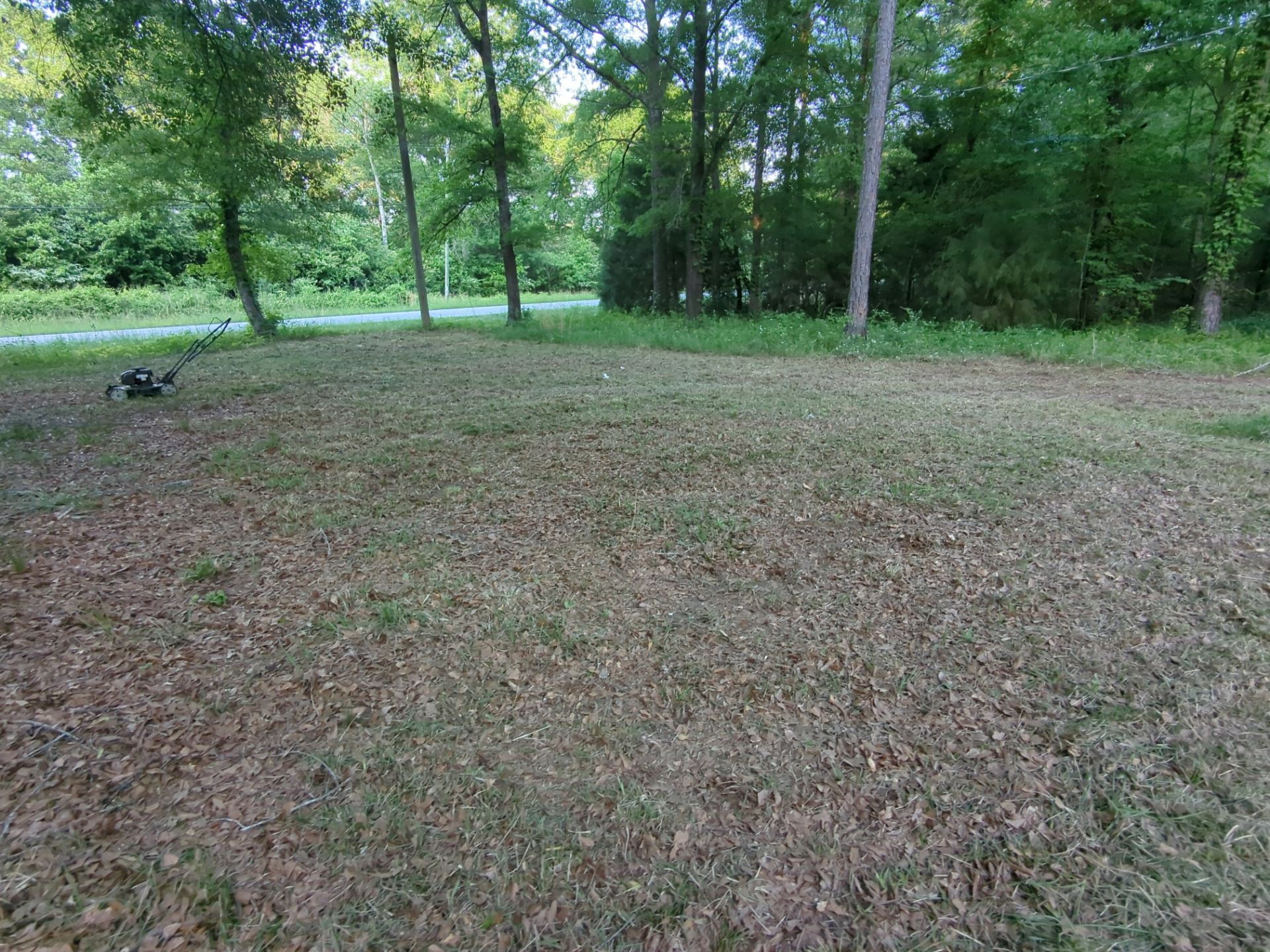 Exterior Clearing - tree trimming - grass cut by Swift Signings and Services LLC