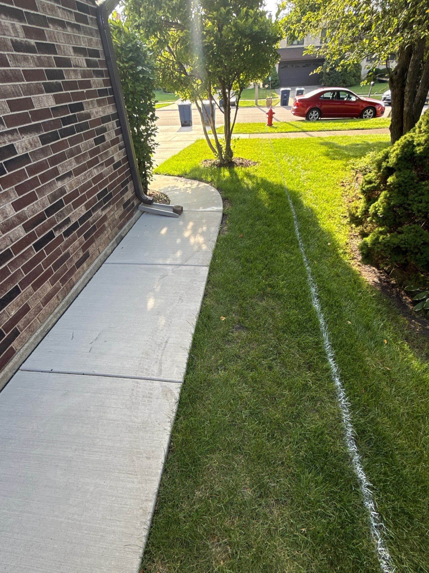 Al P. - Des Plaines, IL by A&N 