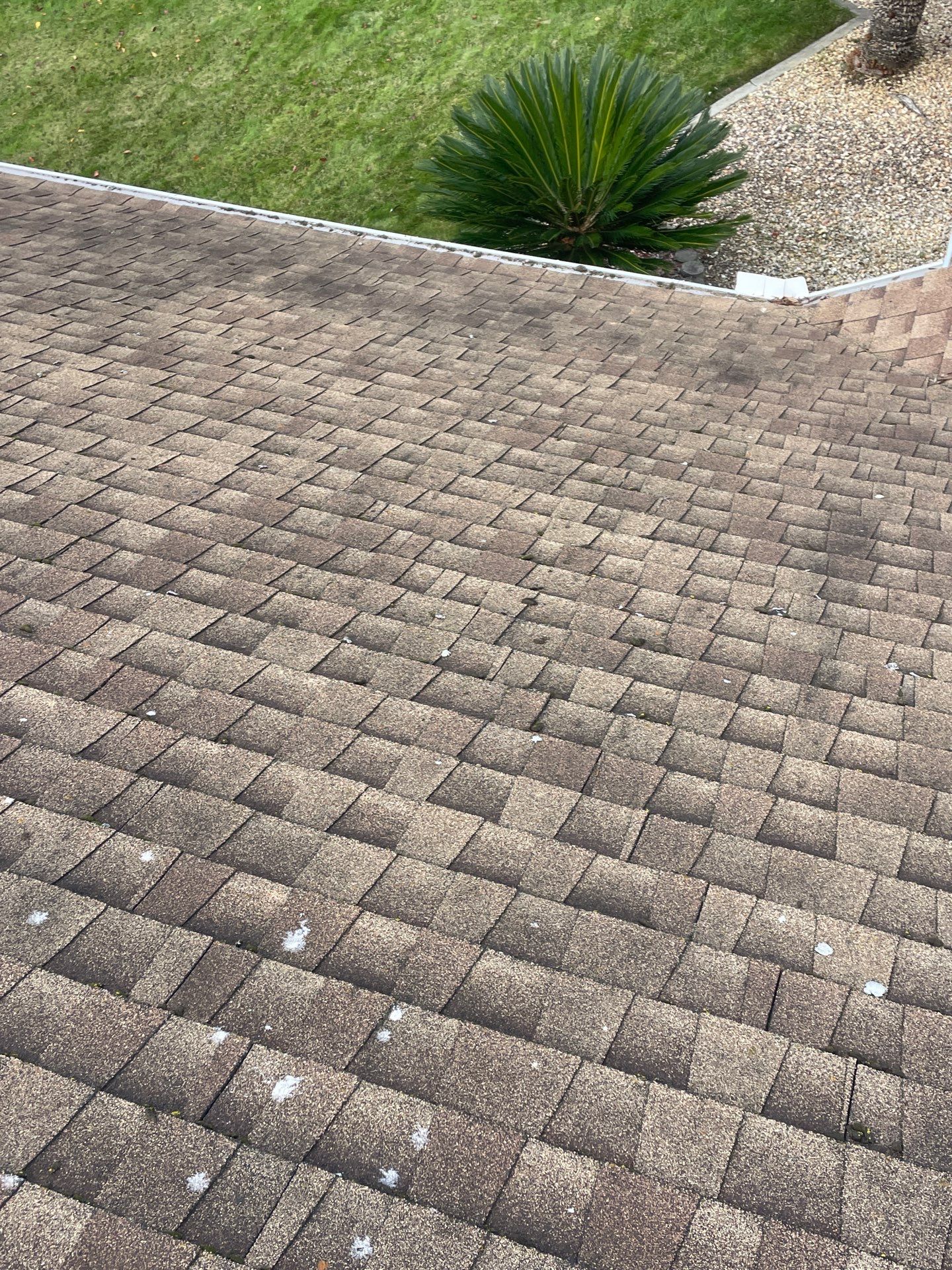 Roof Rejuvenation using Roof Maxx Treatment by Roof Maxx of Folsom