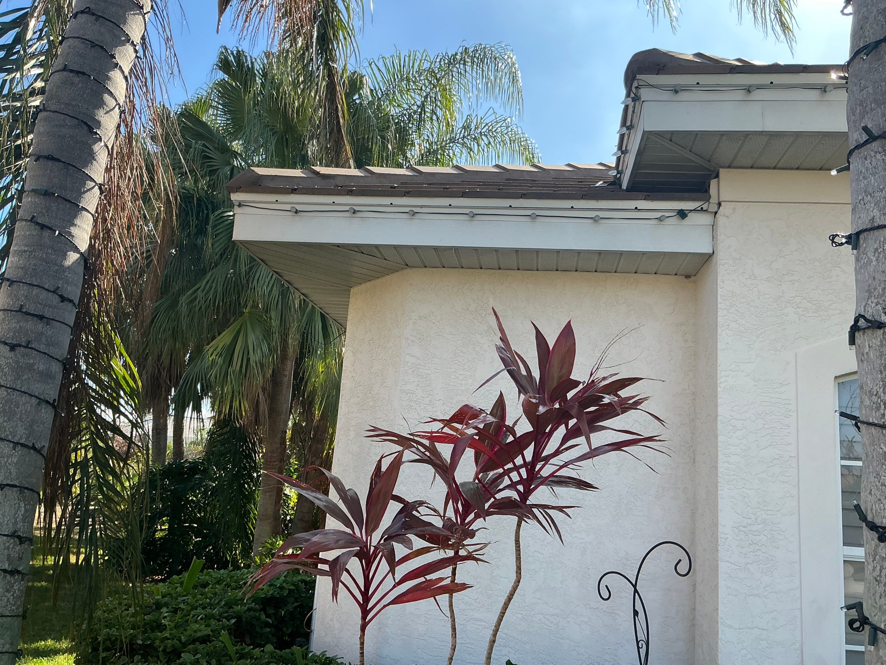 Gutter Cleaning using gutter cleaning in Sarasota FL by Gutter Professors