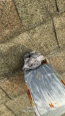 Dryer Vent Lint Removal in Clermont