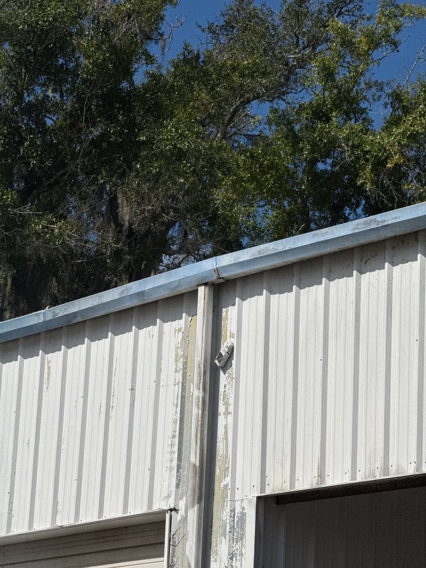 Clean Gutters and Seal Seams in Lakeland FL by Gutter Professors
