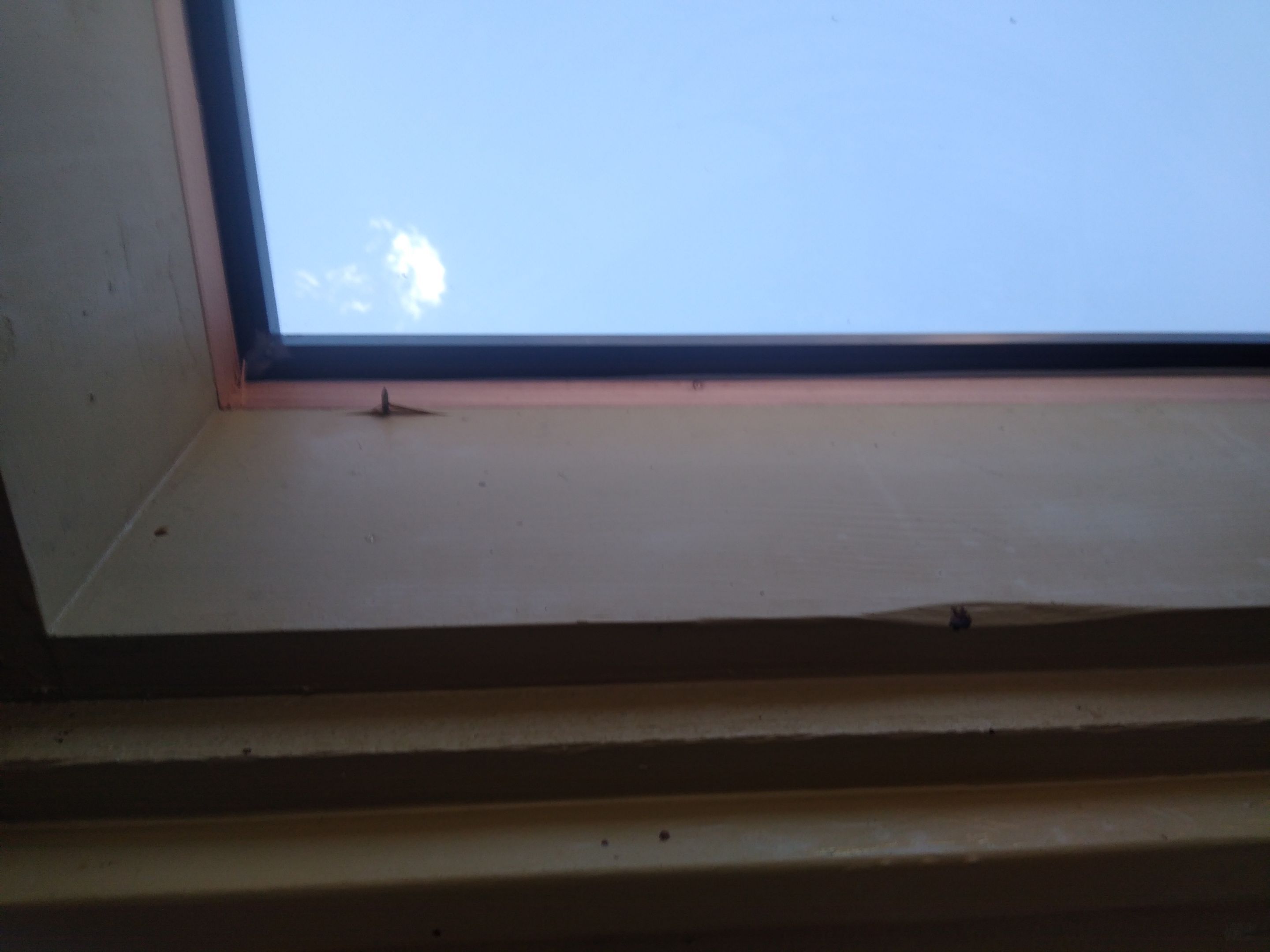 Hail Damage Re Roof  by Dynamic Renovation Contractors