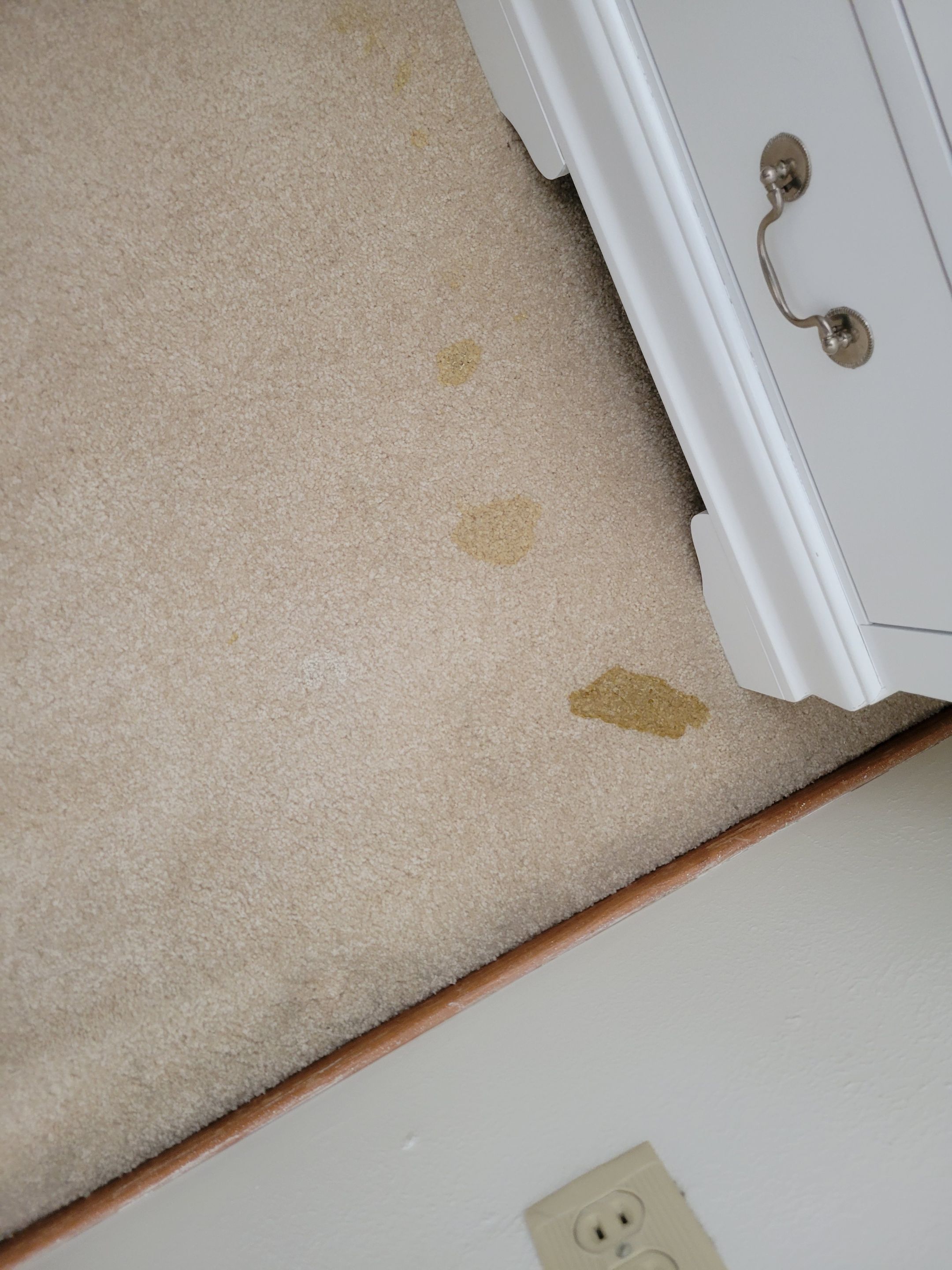 Removal of Glue Stains by Ardent Carpet Restore LLC
