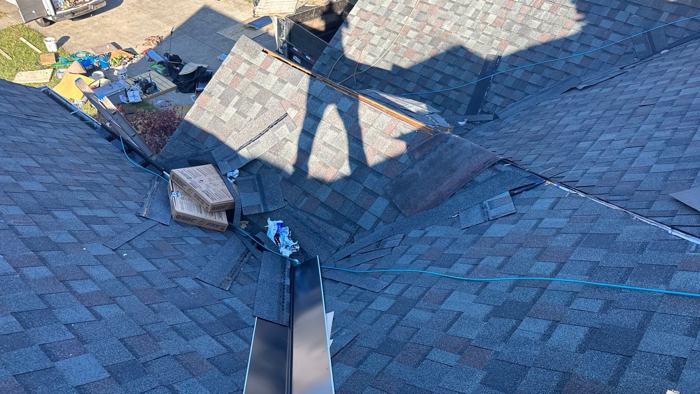 Hamilton - Summer Storm by Tamlin Roofing