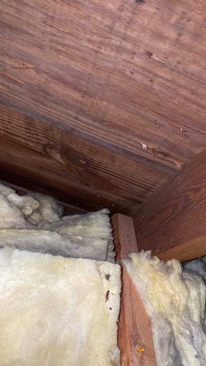 Arlington: CertainTeed Landmark Pro Designer Shingles in Max Def Shenandoah by RM Banning, Inc.