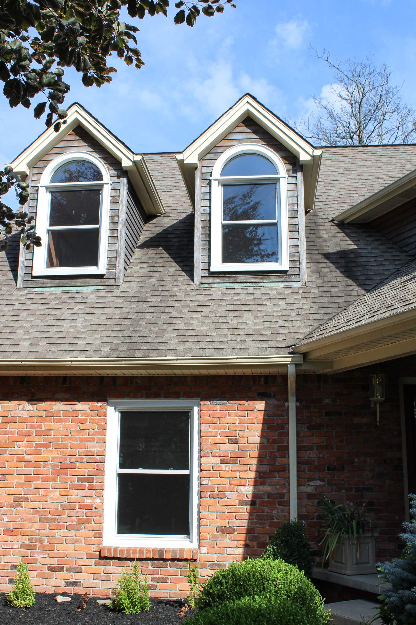Window Replacement by Ivy Lea Construction