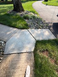 Roof Cleaning in Flemington, NJ — Gallo Bros job photo