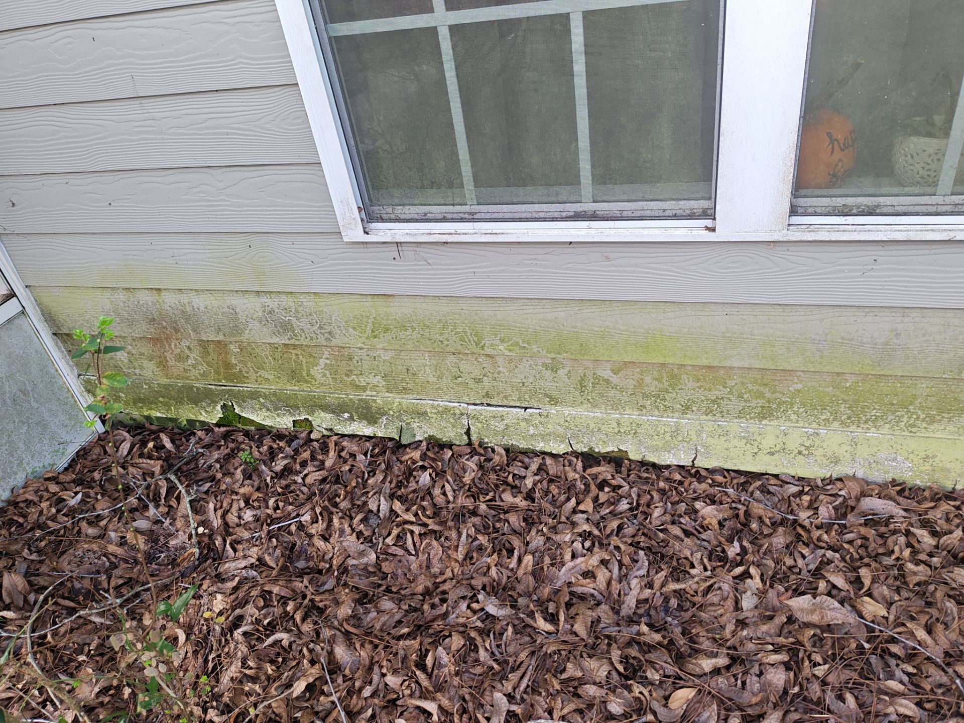 Exterior Siding and Roof Restoration in Hahira, Georgia by Trinity General Contracting Pros